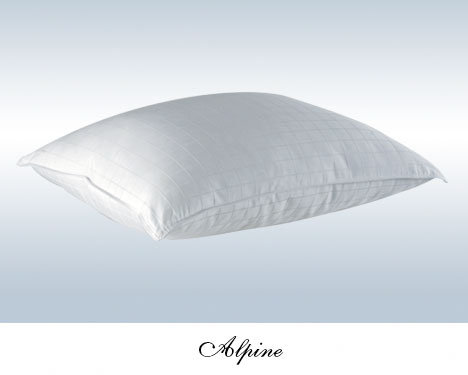 White Noise Sunglow Luxurious Goose Down Alternative European Pillow In White Wayfair Shop wayfair for the best european pillows.