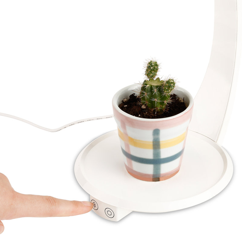 Torchstar Led Indoor Garden Kit Plant Grow Light Reviews Wayfair