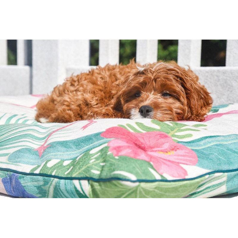 pink flamingo dog bed