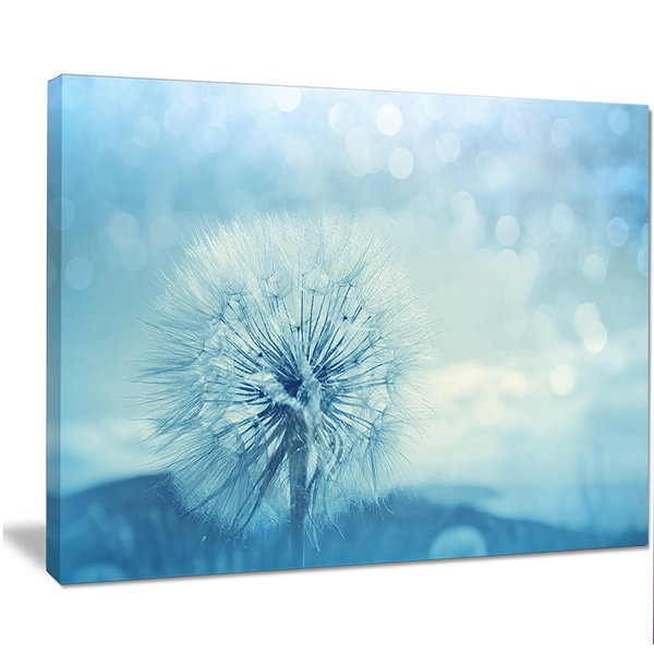 Designart Close Up White Dandelion With Filter Graphic Art On Wrapped Canvas Wayfair