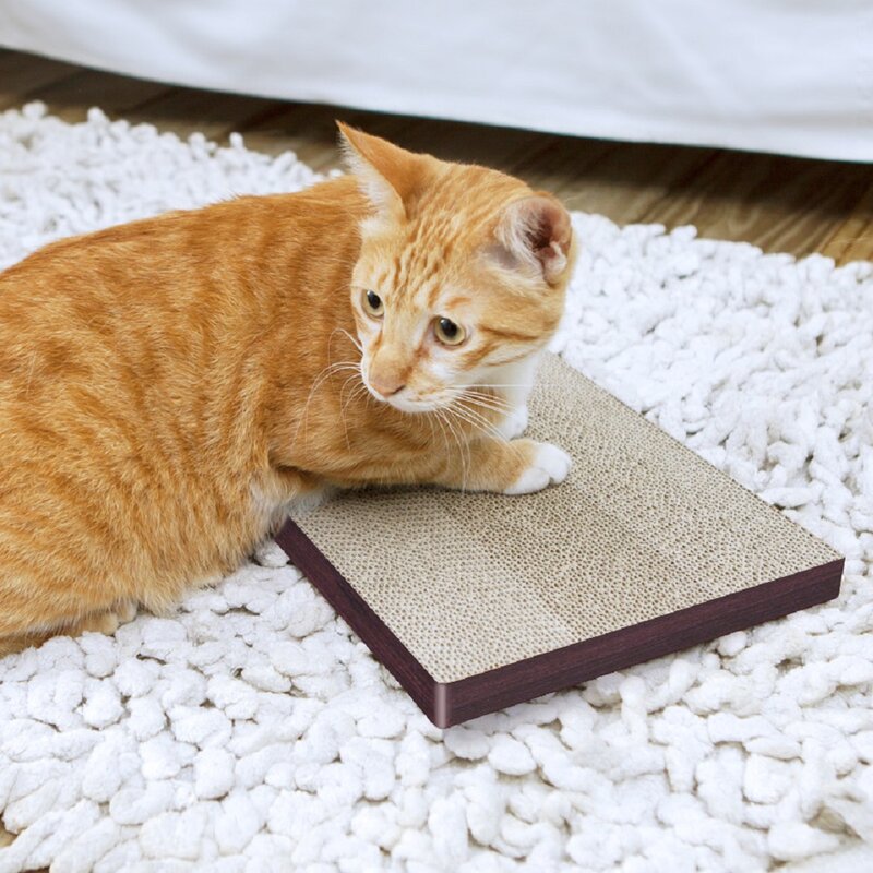 eco friendly cat scratching post