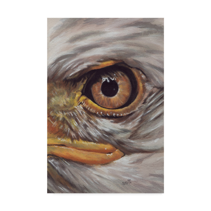 Trademark Art Eye Catching Bald Eagle Oil Painting Print On