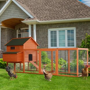 Chicken Coops Youll Love In 2019 Wayfairca