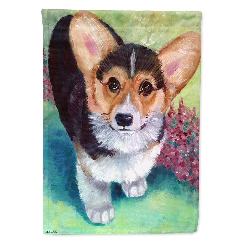 multi colored corgi puppy
