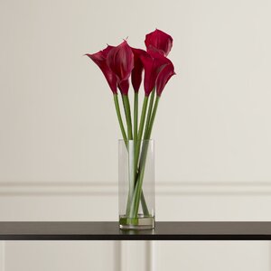 Floral Calla Lilies in Acryllic Water Vase