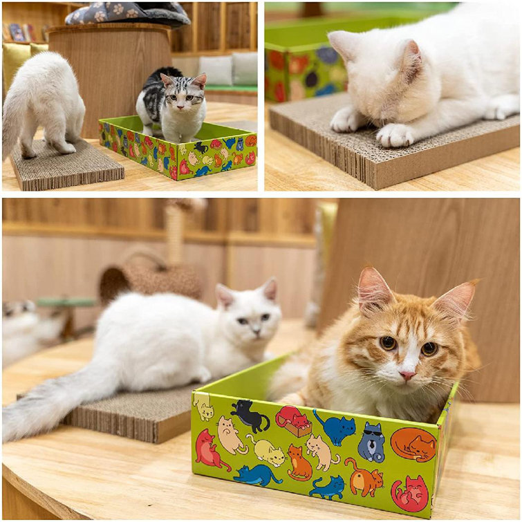 cat scratching box