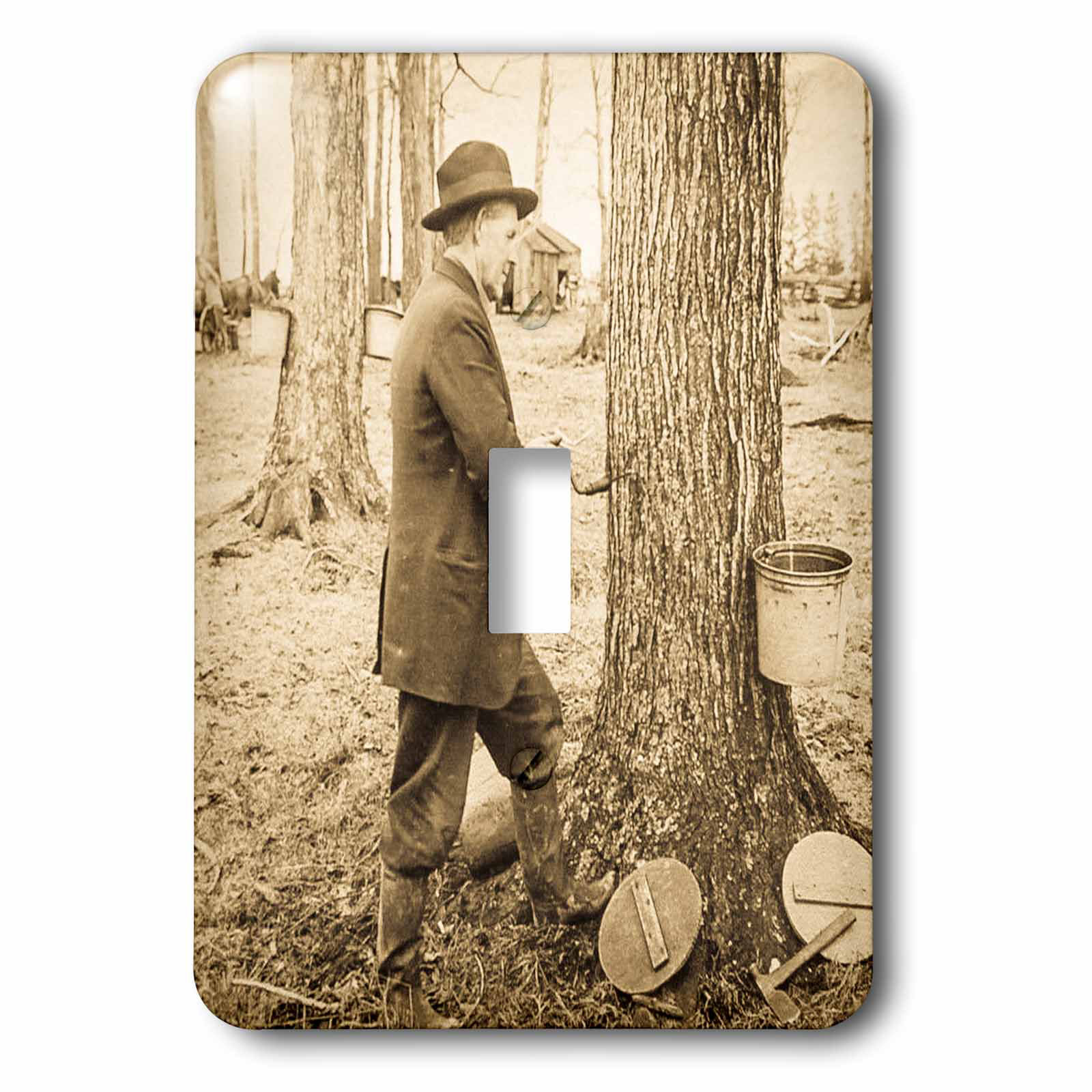 3drose Keystone Magic Lantern Slide Antique Tapping Maple Syrup Vermont 1 Gang Toggle Light Switch Wall Plate Wayfair