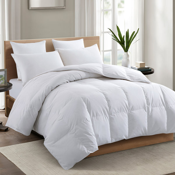 Cotton Filled Comforters Wayfair