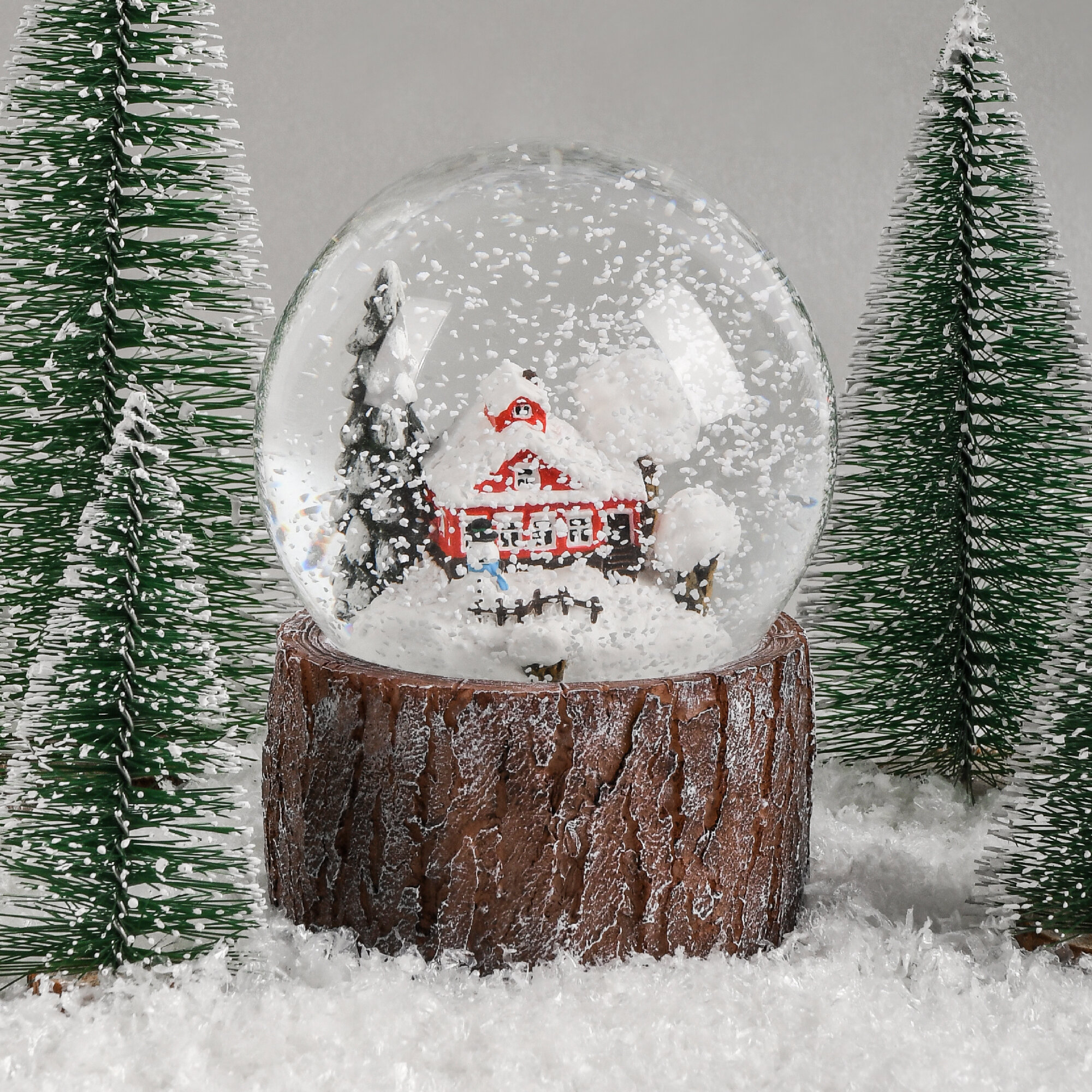 Snow globe steam фото 110