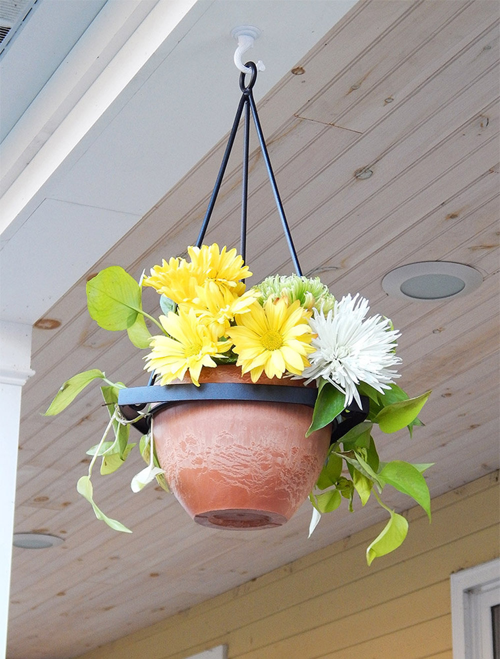 wayfair balcony planters on Wrought Studio Rouleau Iron Hanging Planter Reviews Wayfair