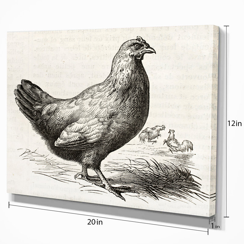 East Urban Home Farmhouse Malay Hen Drawing Print On Wrapped Canvas Wayfair