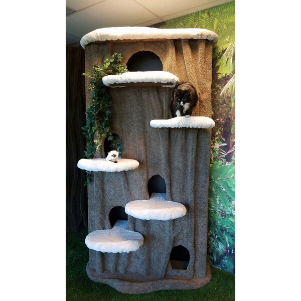 KittycatCondos 96" Cat Condo & Reviews | Wayfair