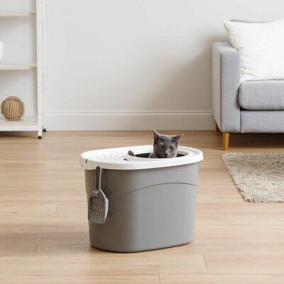 Litter Boxes & Enclosures Furniture | | Wayfair 2020