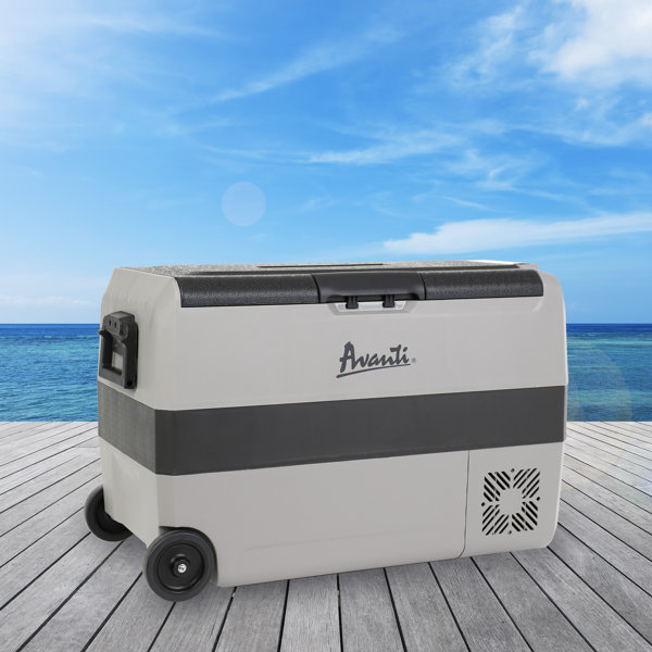 Avanti 50L Portable AC/DC Cooler, In Grey - Wayfair Canada