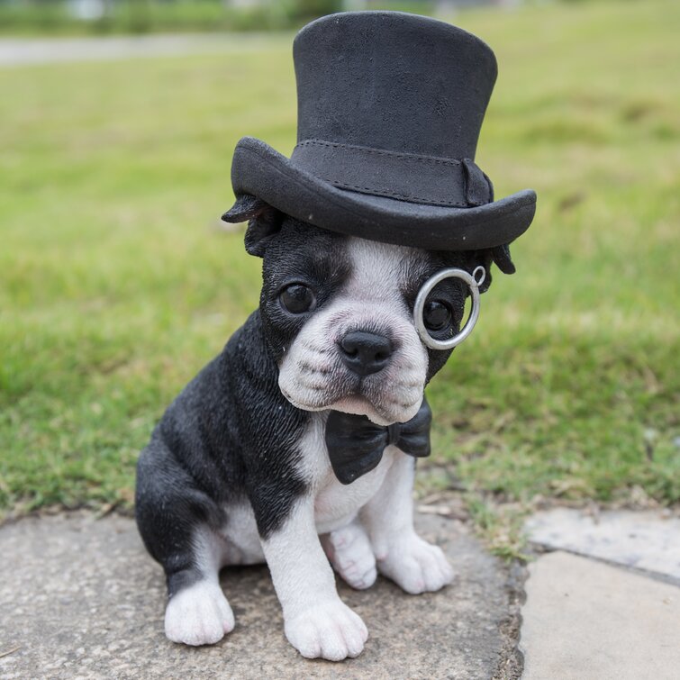 Hi Line Gift Ltd Boston Terrier With Top Hat Statue Reviews Wayfair