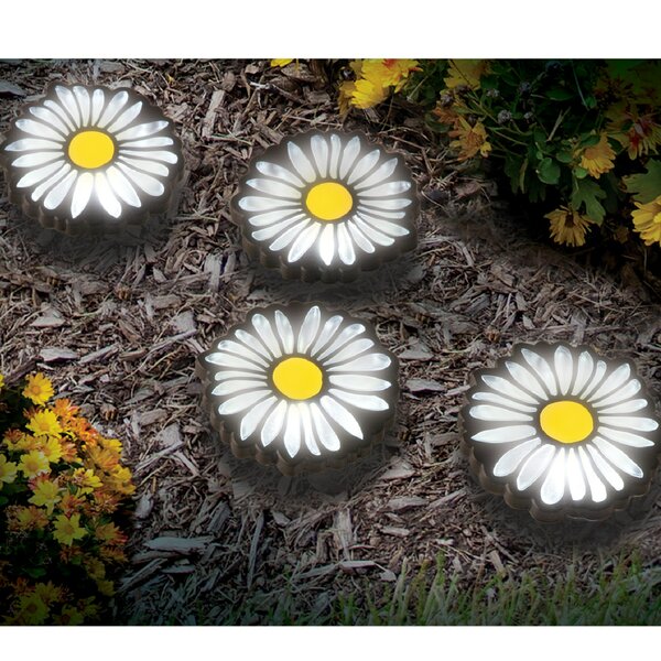 daisy solar lights