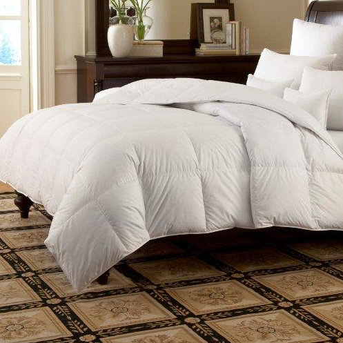 Downright Logana Batiste Down Pillow Wayfair