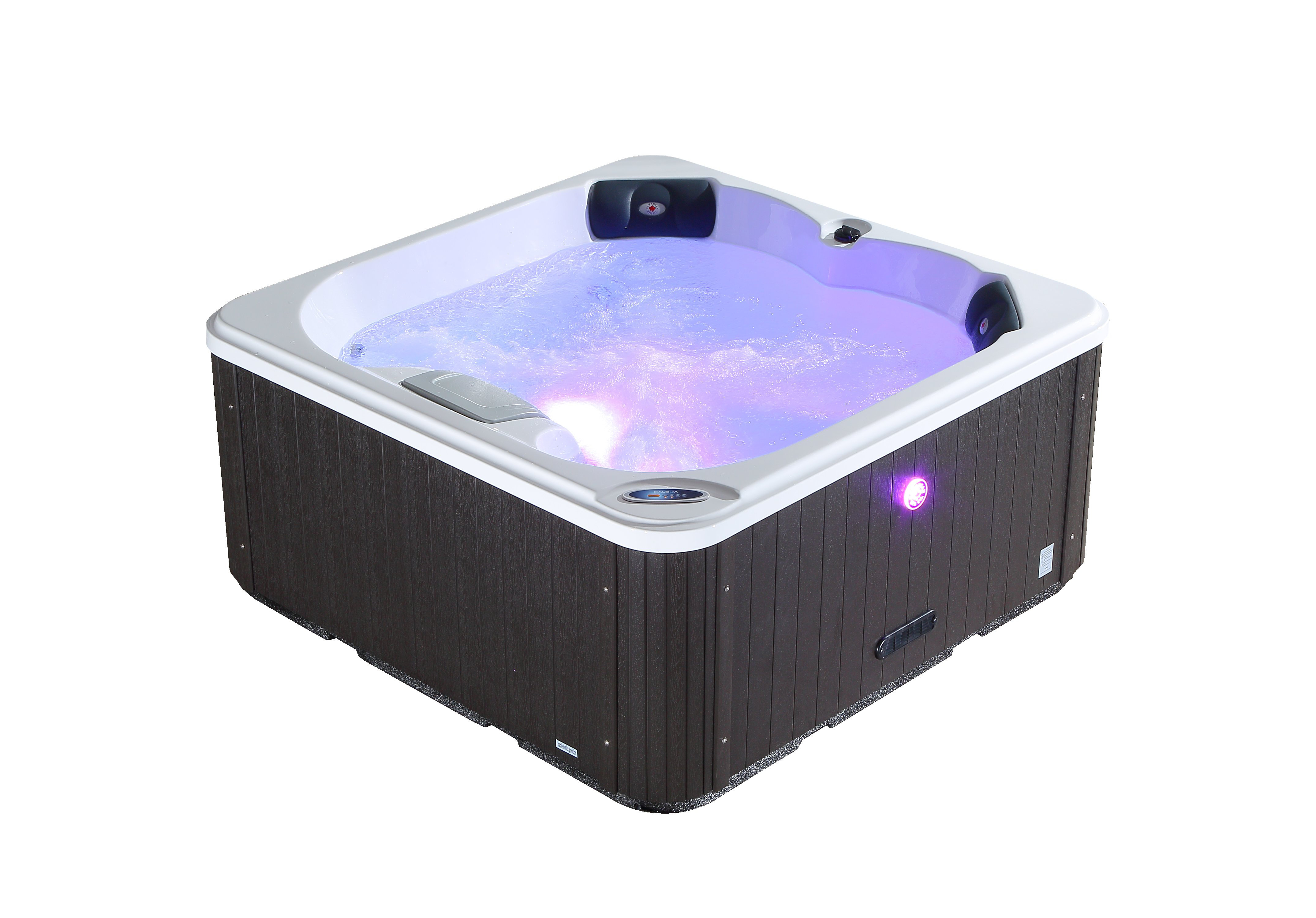 Canadian Spa Co Saskatoon 4 Person 12 Jet Acrylic Square Plug And