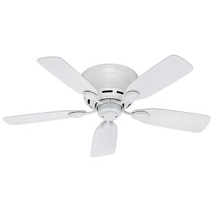 Hunter Regalia Fan Wayfair