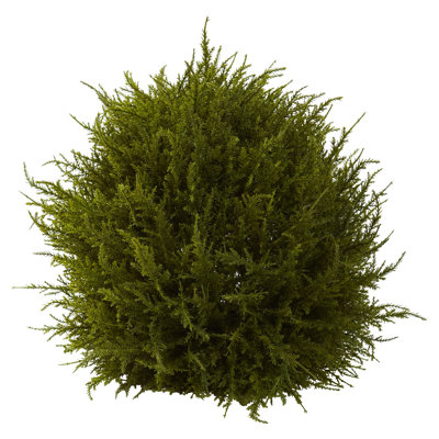 Alcott Hill Cedar Decorative Sphere Topiary