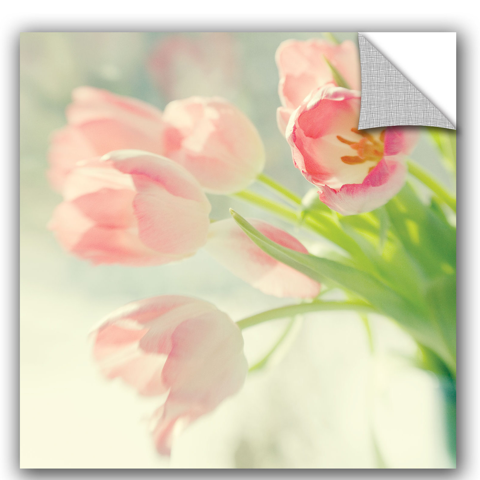 Artwall Judy Stalus Pink Tulips Removable Wall Decal Wayfair