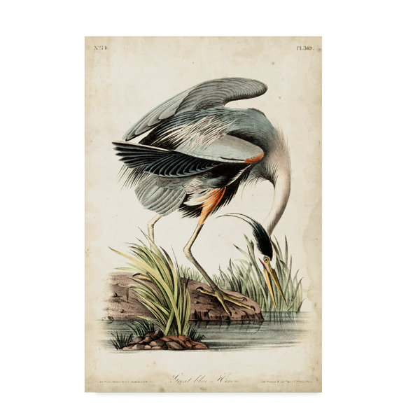 East Urban Home Blue Heron Portrait Oil Painting Print On