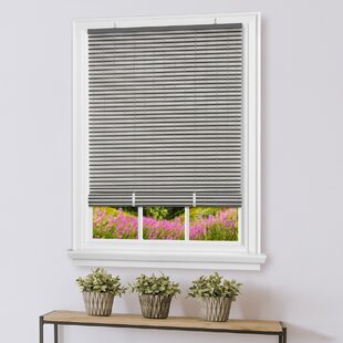 Outdoor Rollup Shades Wayfair