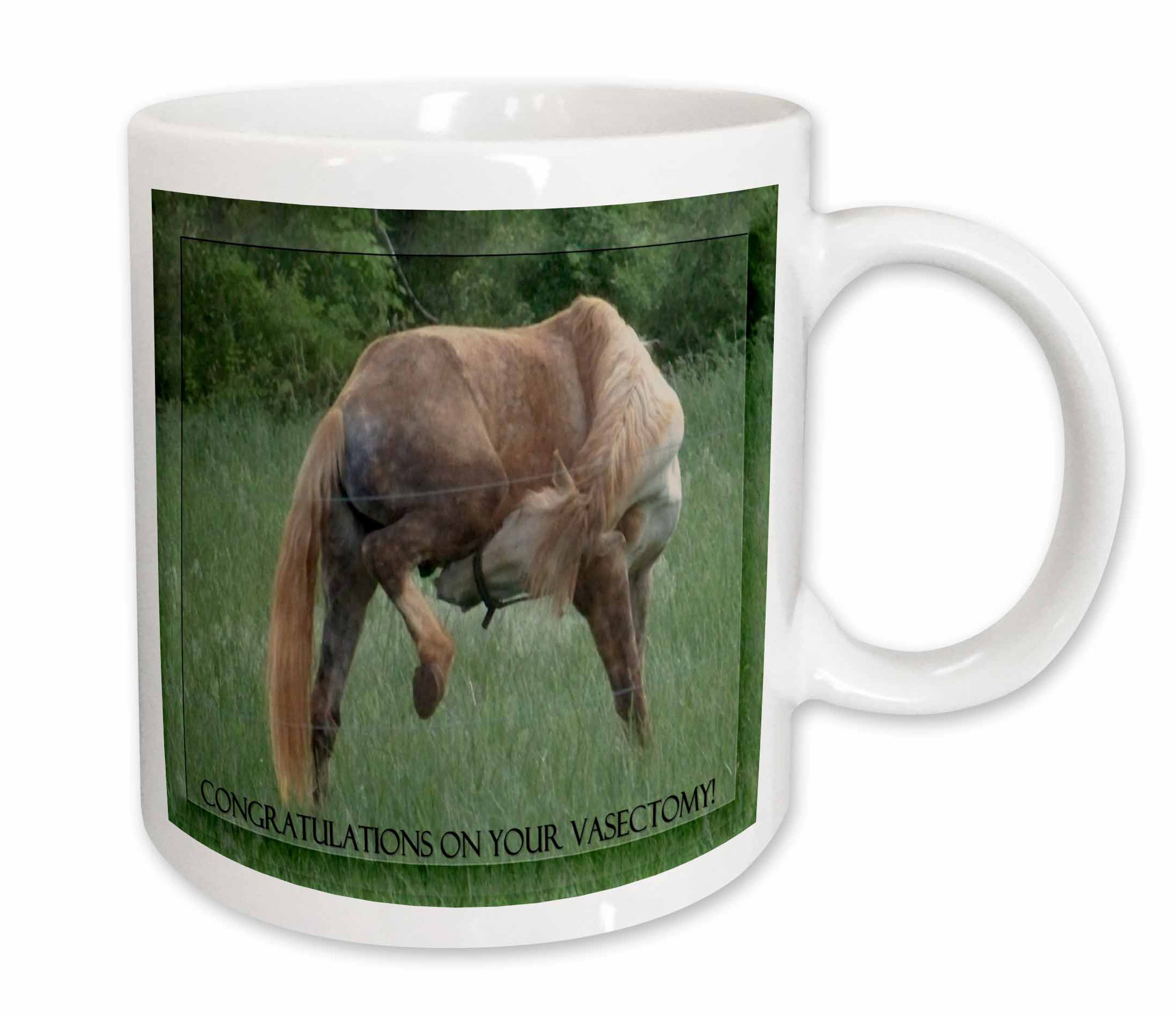 East Urban Home Funny Horse Background Congratulations On Vasectomy Coffee Mug Wayfair
