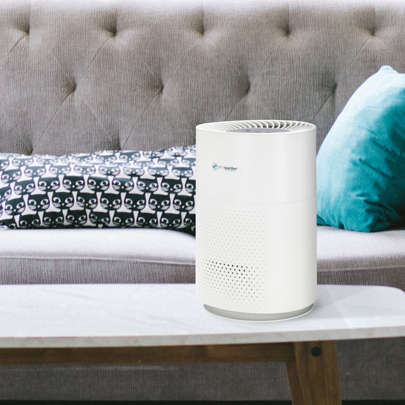 allergy air purifier reviews