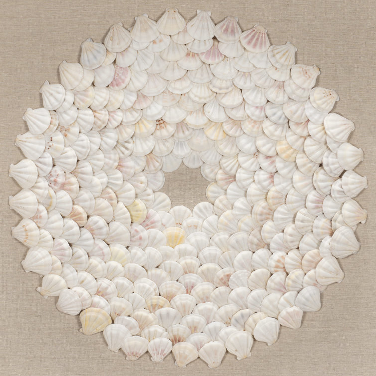 Shells Wall Design Rosecliff Heights Shells Wall Décor | Wayfair