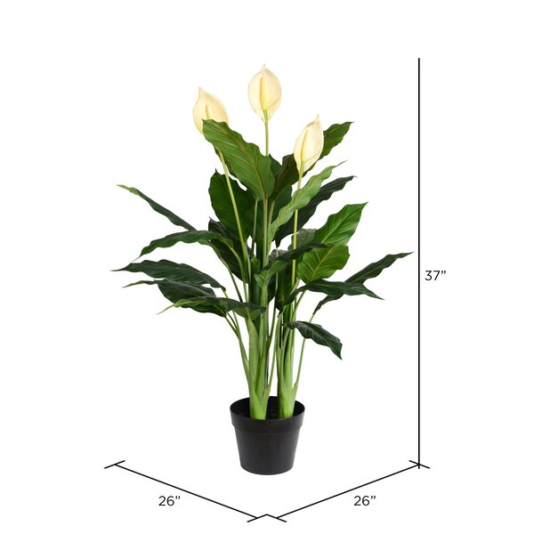 Bay Isle Home Artificial Peace Lily Real Touch Floor Flowering Tree in ...