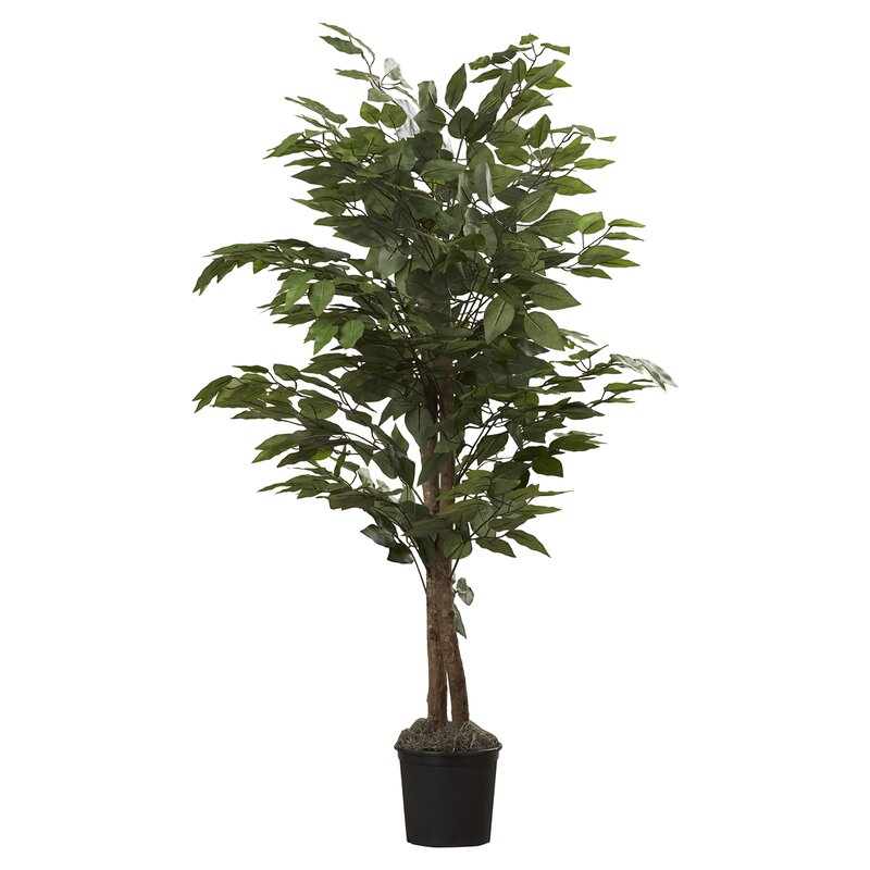 Three Posts Silk Bush Tree in Pot & Reviews | Wayfair