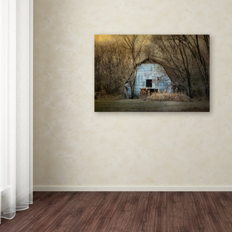 Trademark Art Redtail At The Blue Barn Photographic Print On