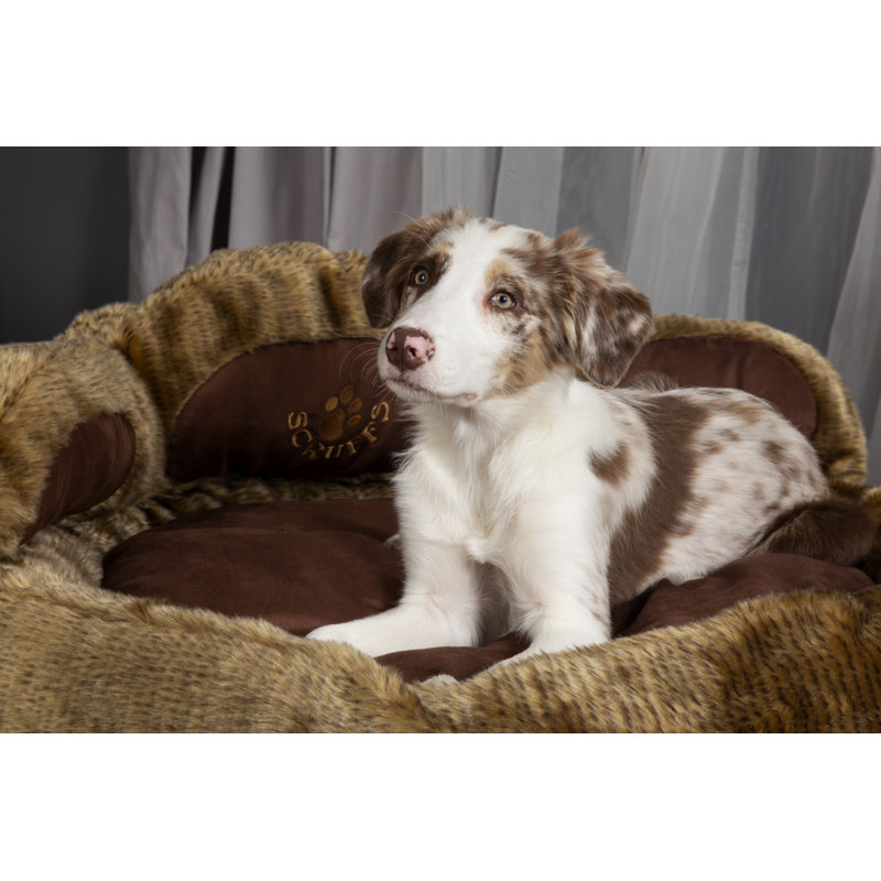 scruffs cub bear dog bed