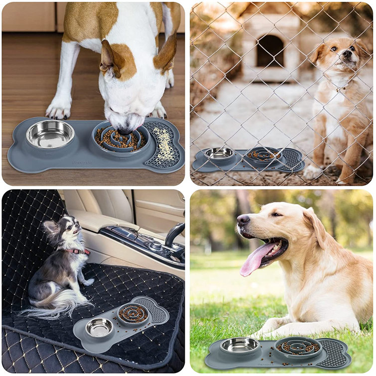 licks it dog waterer