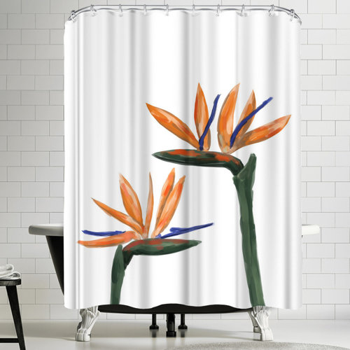 Slipxsolutions Shower Curtain Hooks Reviews Wayfair Ca