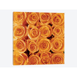 Bath Laundry Orange Wall Art You Ll Love In 2021 Wayfair