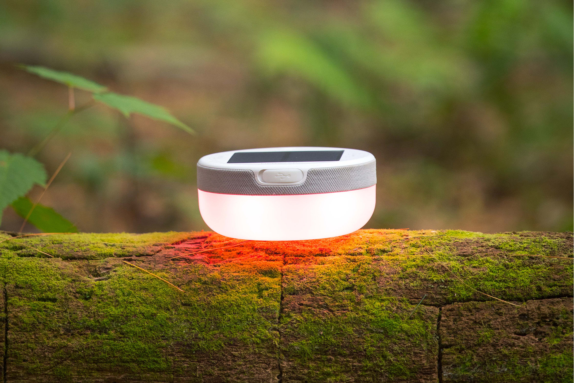 MPOWERD 4.7'' Solar Powered Integrated LED Color Changing Outdoor Lantern Wayfair