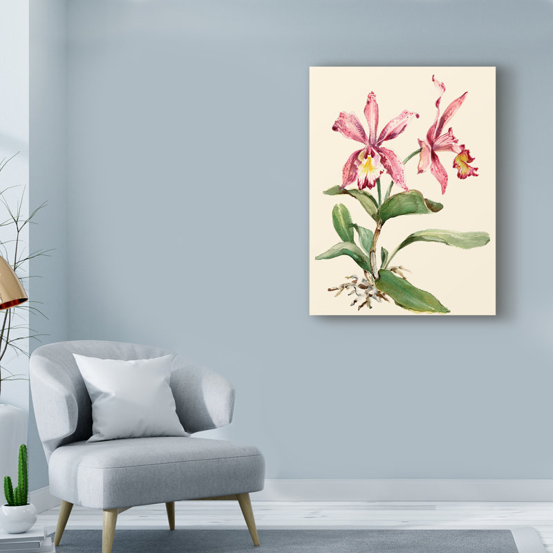 Charlton Home Pink Cattleya Orchid Acrylic Painting Print On
