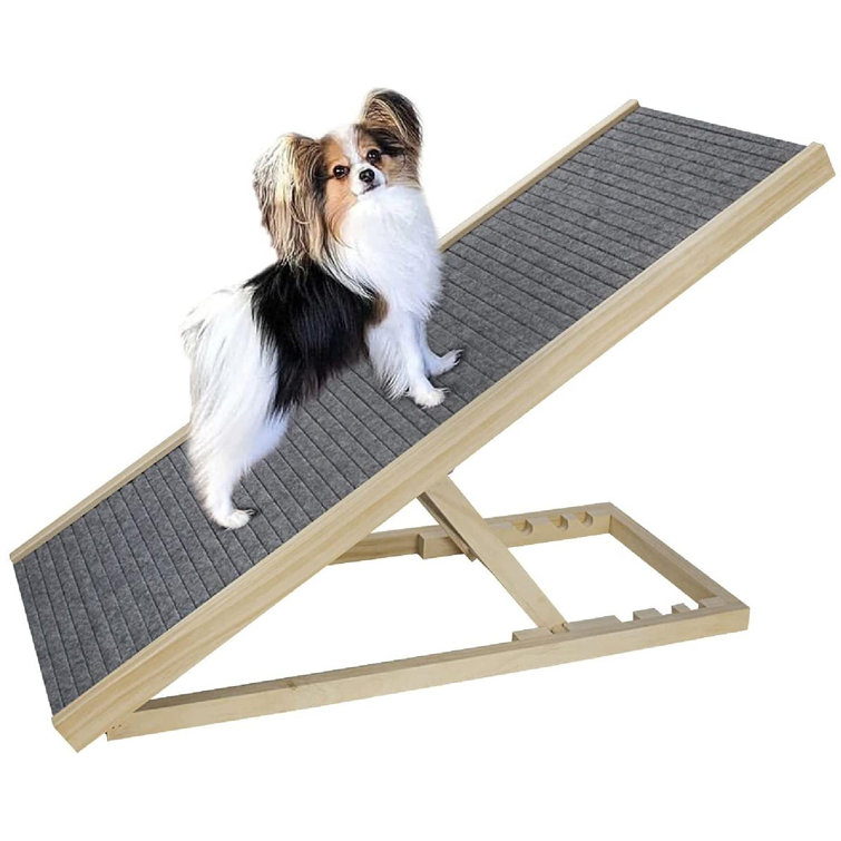 paw ramp for dogs