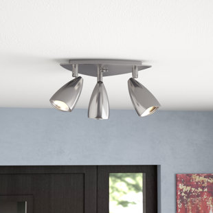Go to store & view more images Mazur 3-Light Directional & Spotlight by Ebern Designs
