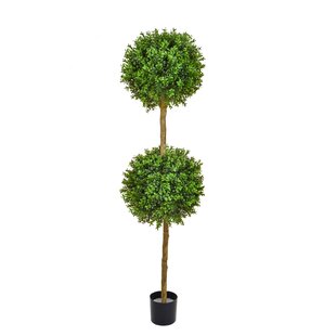 Artificial Buxus Boxwood Topiary In Planter By The Seasonal Aisle