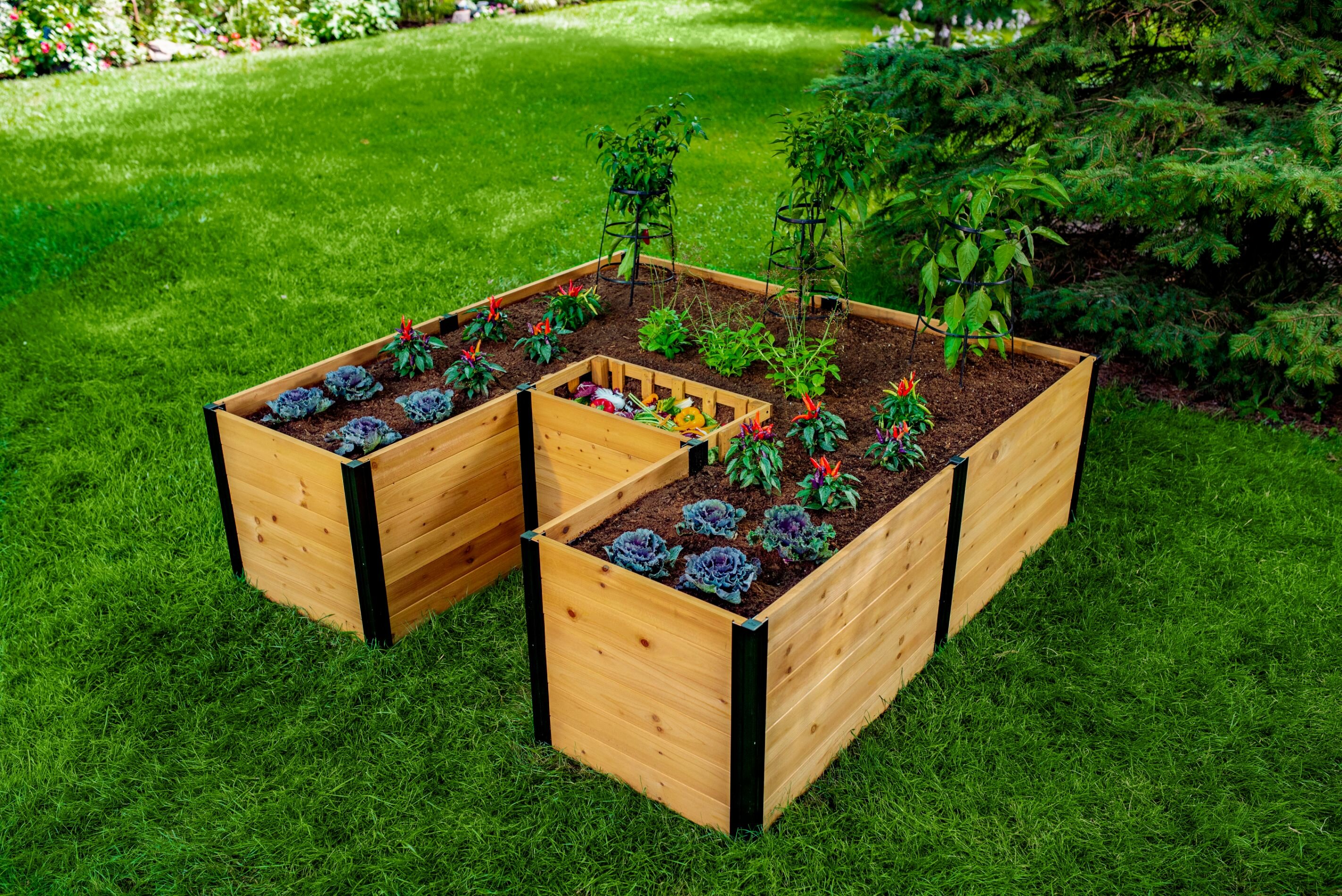 Vita Mezza 6 Ft X 6 Ft Keyhole Composting Wood Raised Garden Bed Reviews Wayfair