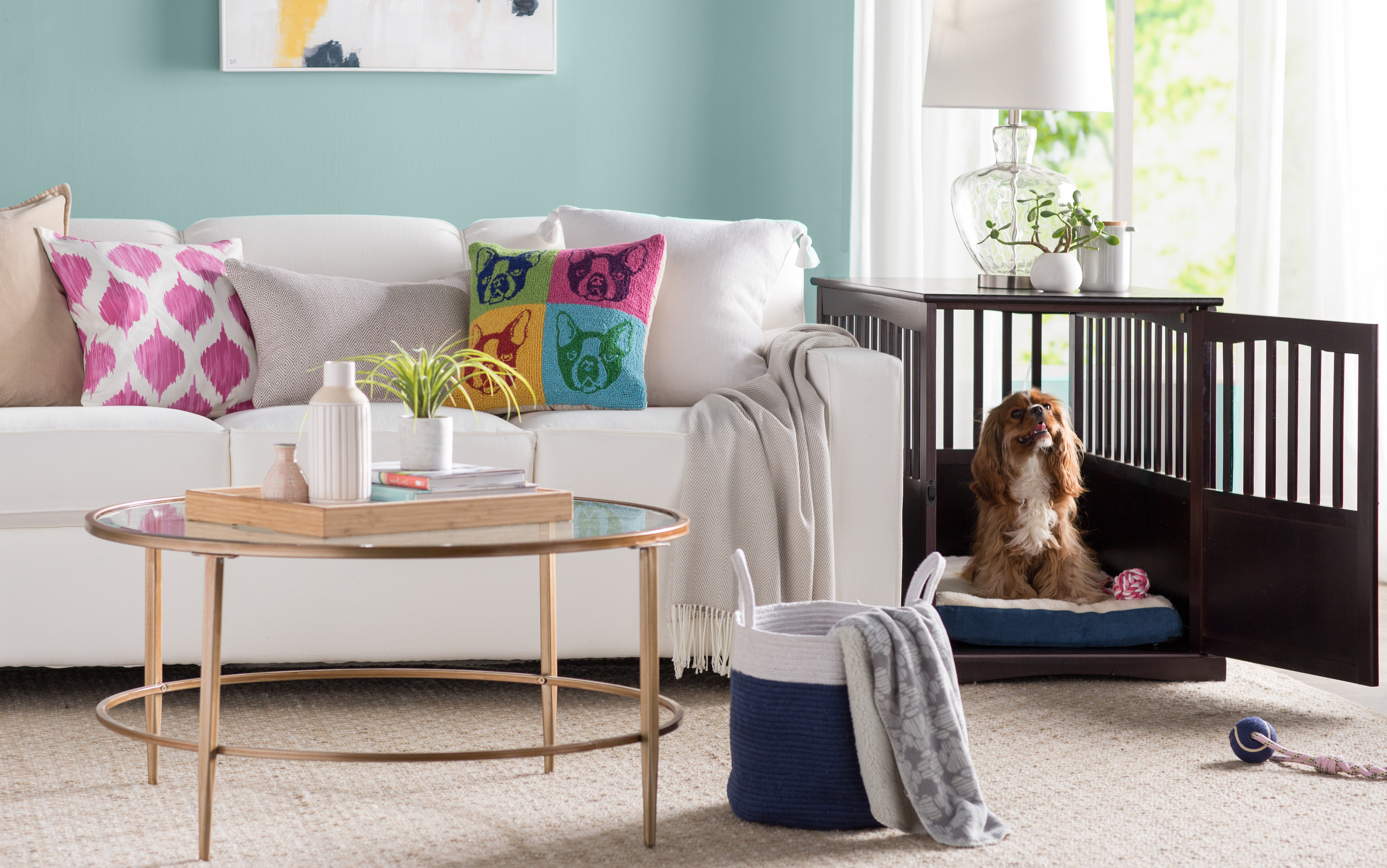 Dog Crate Sizes Buying Guide Wayfair