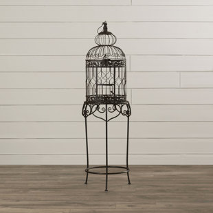 Decorative Vintage Bird Cages Wayfair Decorative Bird Cage
