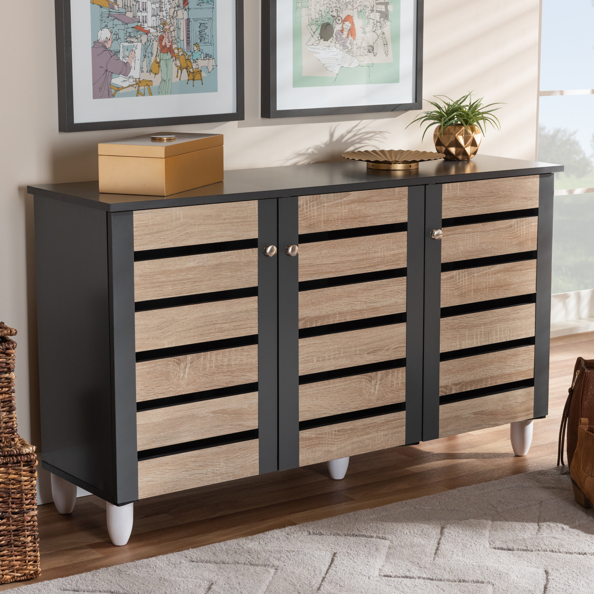 Brayden Studio 14-Pair Shoe Storage Cabinet