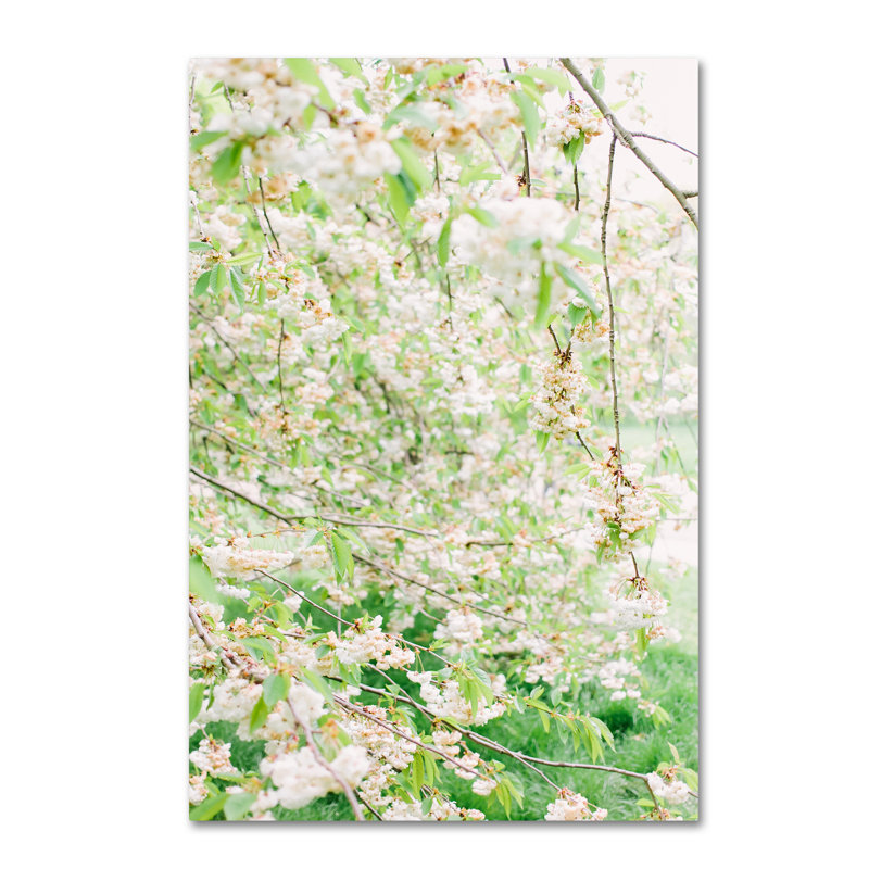 Trademark Art White Cherry Blossom Trees 4 Photographic Print On Wrapped Canvas Wayfair