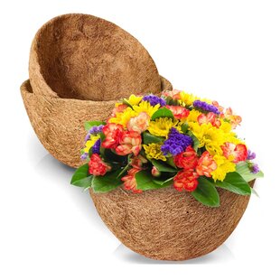 100% Natural Round Coconut Fiber Planter Basket 3 Pack 10 Inch Hanging Basket