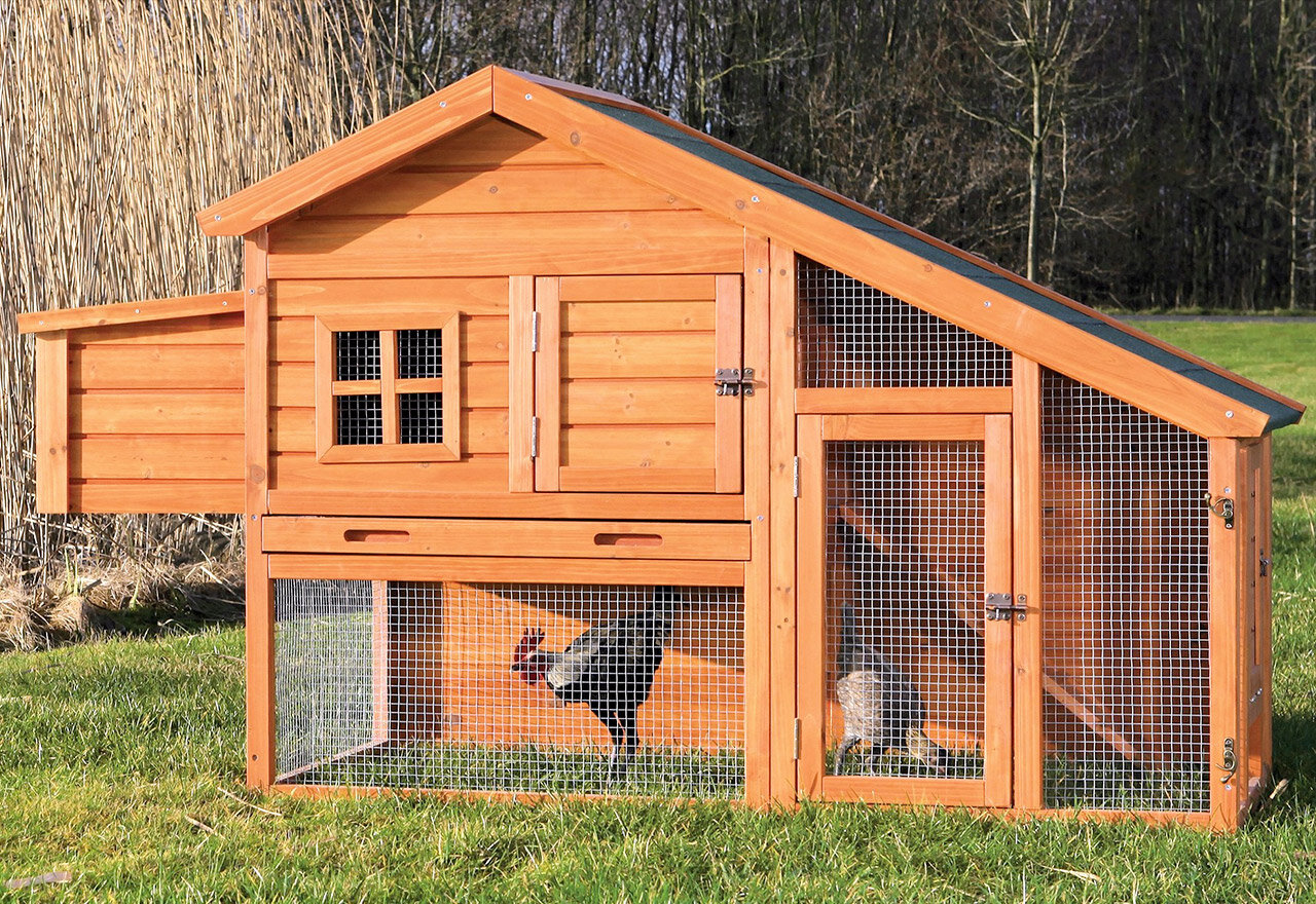 big-sale-create-the-ultimate-hen-house-you-ll-love-in-2022-wayfair