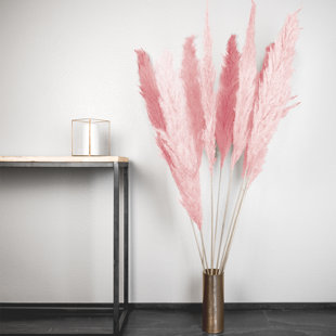 Dried Pampas Grass Wayfair